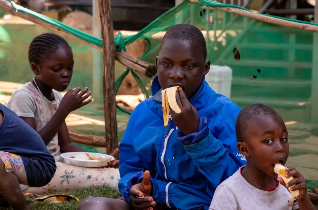 Community feeding impact